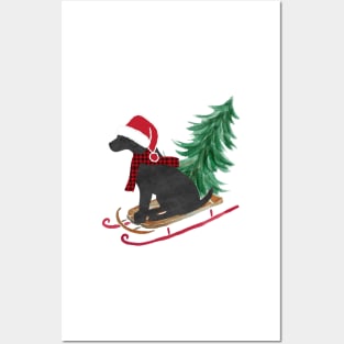 Black Lab Christmas Sled Bringing Home The Tree Posters and Art